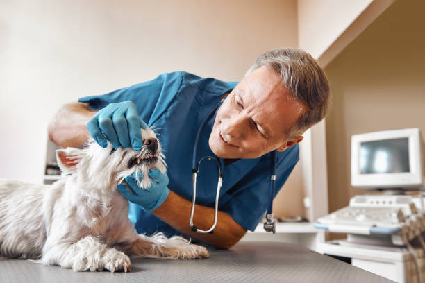  Wanamassa, NJ Emergency Dentist Pros